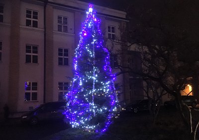 Vánoční strom v areálu Thomayerovy nemocnice