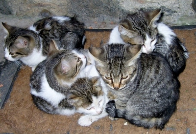 Vyhřívání na sluníčku