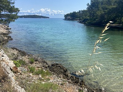 Zelenomodré dopoledne