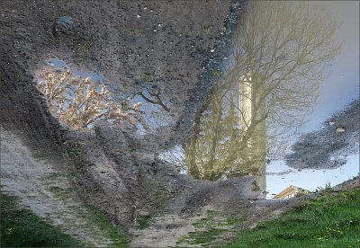 Zvonice a kvetoucí strom ...