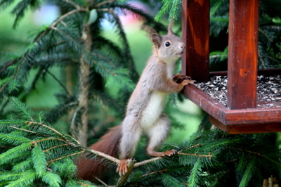 ... dnes se tu neobsluhuje?