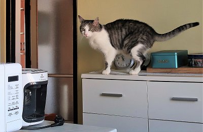 Už je čas... na něco dobrého!