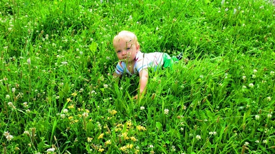 Jsem malý, ale šikovný