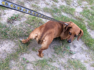 Neeee, já jdu tudy!