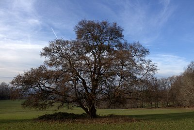 Kdy už to jaro konečně přijde?
