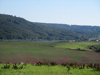 Chmelnice hlásí "sklizeno"