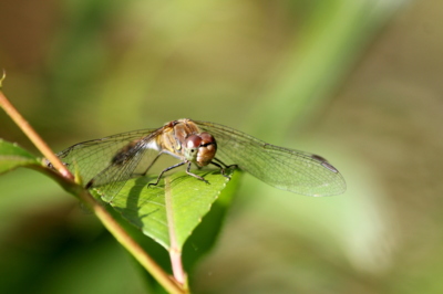 Bezpečné přistání...