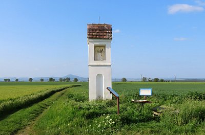V polích u Lužické cesty