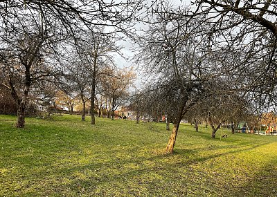 Teplé únorové ráno