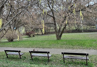 Lavičky už čekají