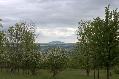 Říp to jistí