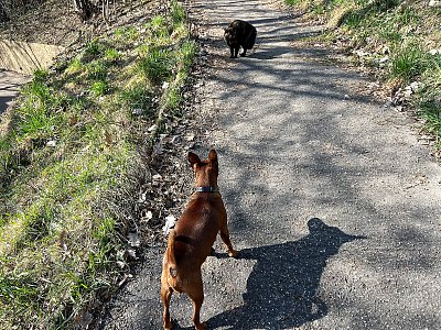 Tady nikdo neprojde !