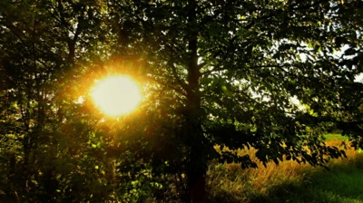 To slunce mě snad spálí půl