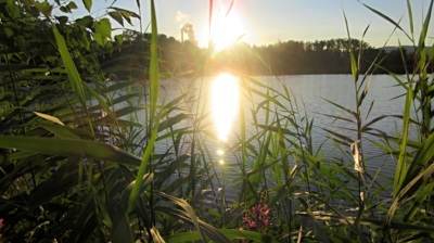 Východ či západ ?