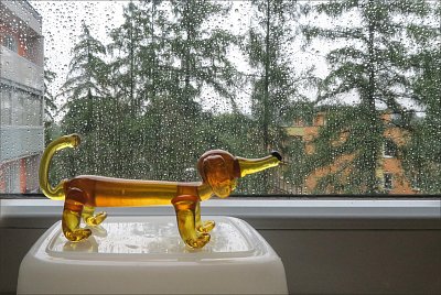 Pršííí krásně, ven se nechystáme ...