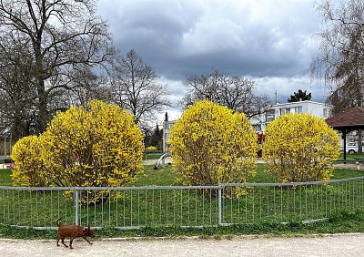 Zlato na dětském hřišti