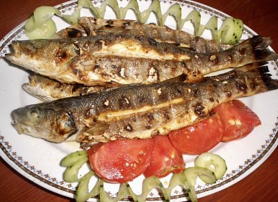 Ryby, raky, taky, taky…*