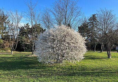 Modrá, bílá, zelená