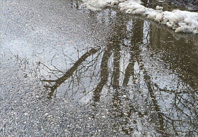 Sněhu už jen maličko ...