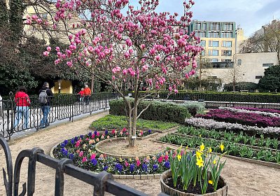 Jaro ve Františkánské zahradě