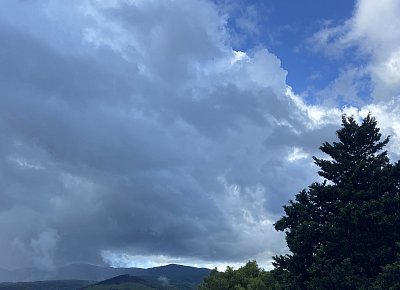 Poslali jste déšť! Děkujeme!