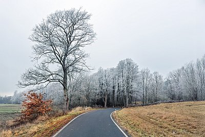 Proměna mlhy v jinovatku...