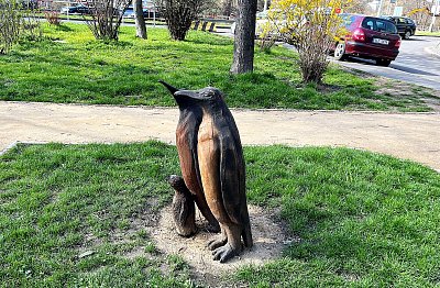 Tučňáci na Jezerce