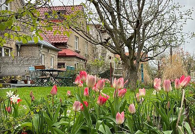 Duben - čas tulipánů