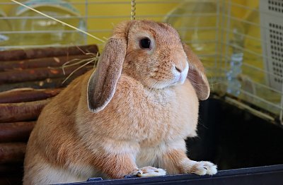 Čekám na jídlo :-)