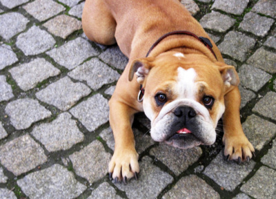 Já to fakt neudělal...