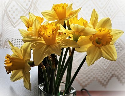 Jaro, už přijď...