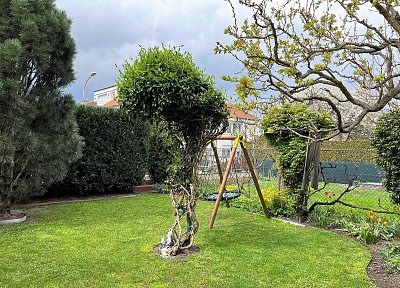 Posekáno před deštěm