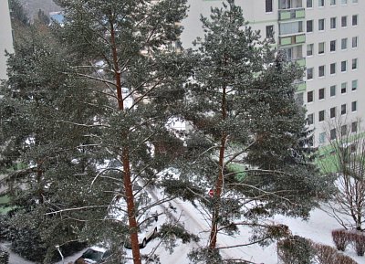 Snad  se ještě letos dočkáme. *