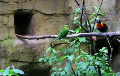 neděle v Ostravské ZOO