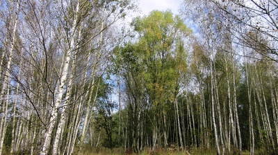 Podzim se ujal vlády