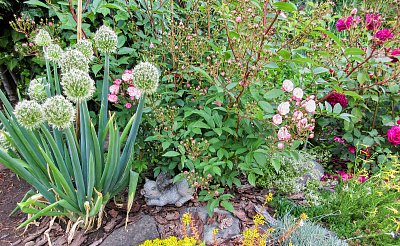 Odpočinek pod Růžovými oblaky