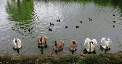 Tak už nám něco dobrého hoď !