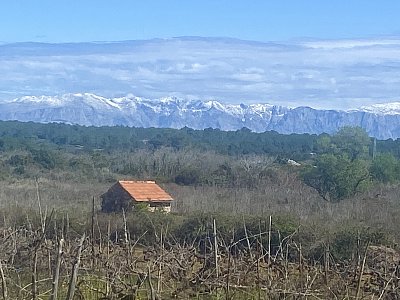 Zasněžené vrcholky hor *