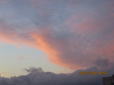 "Červené ráno v Pardubicích"