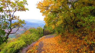 Neměnné zákony přírody