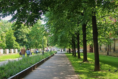 Procházka pod stromy za kostelem