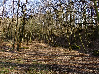 Sluníčkové odpoledne