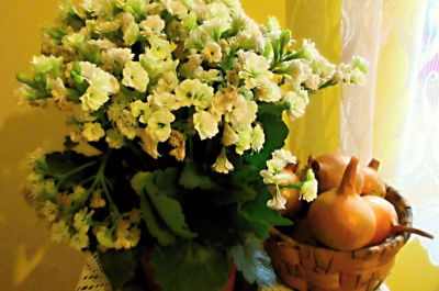 Zátiší pro zdraví