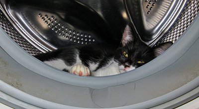 Chladící pelíšek