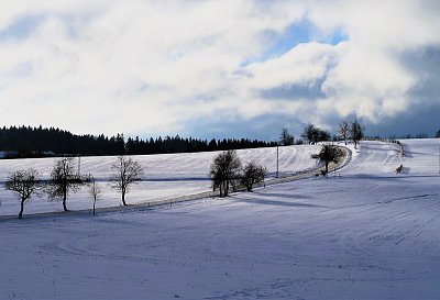 Horácko