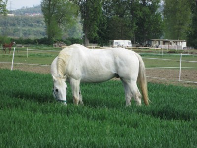 Utekl jsem paničce do pole. Chyť si mě!