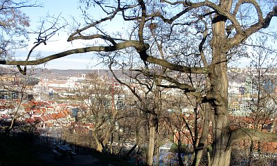 Parádní viditelnost