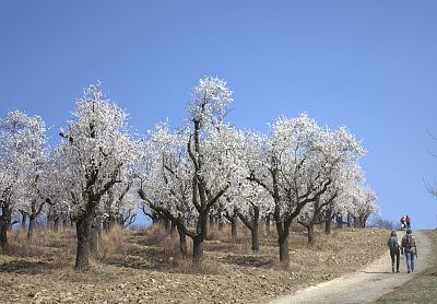 Dvojice