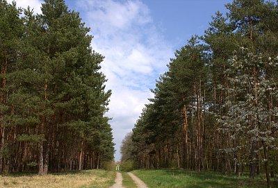 Příroda se probouzí