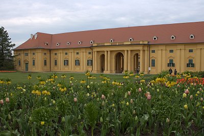 Květiny před zámkem